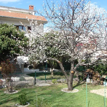 Svagi Rooftop سبليت