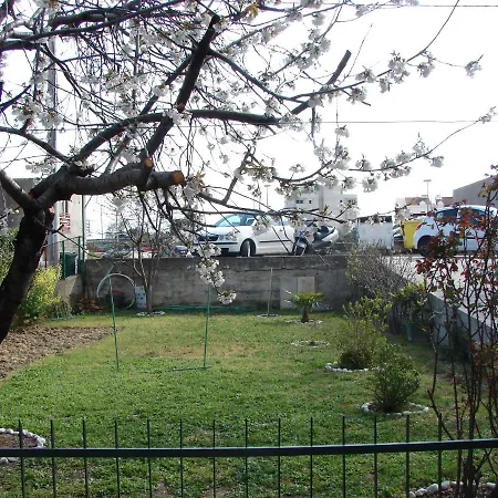 Svagi Rooftop سبليت