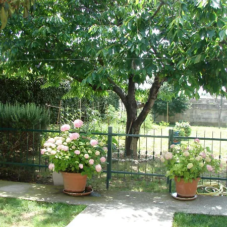 Svagi Rooftop شقة *