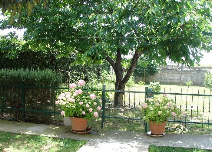 Svagi Rooftop Apartament *